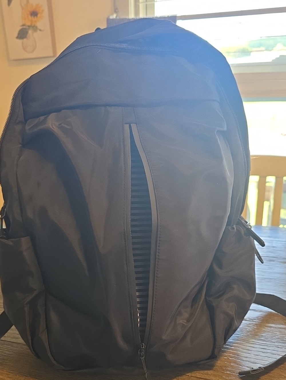 Lightweight Travel Laptop Backpack, Personal Item Daypack